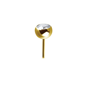 Gold PVD Push In Ball w Prem. Zirconia 2.5 mm